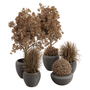 Dry Grass and Trees in a Concrete Pot - Indoor plant autumn set 570