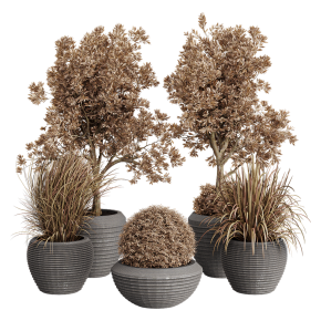 Dry Grass and Trees in a Concrete Pot - Indoor plant autumn set 570