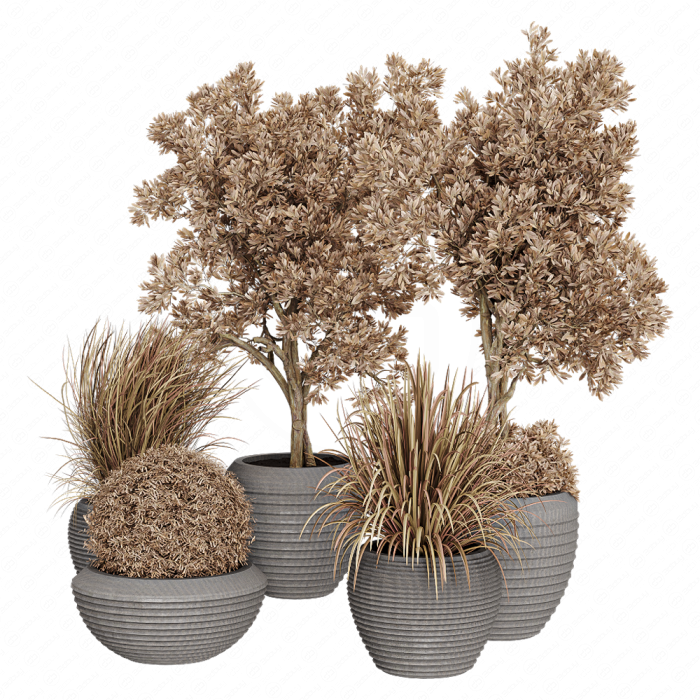 Dry Grass and Trees in a Concrete Pot - Indoor plant autumn set 570