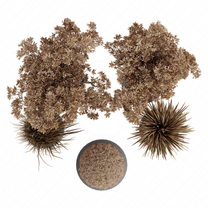 Dry Grass and Trees in a Concrete Pot - Indoor plant autumn set 570