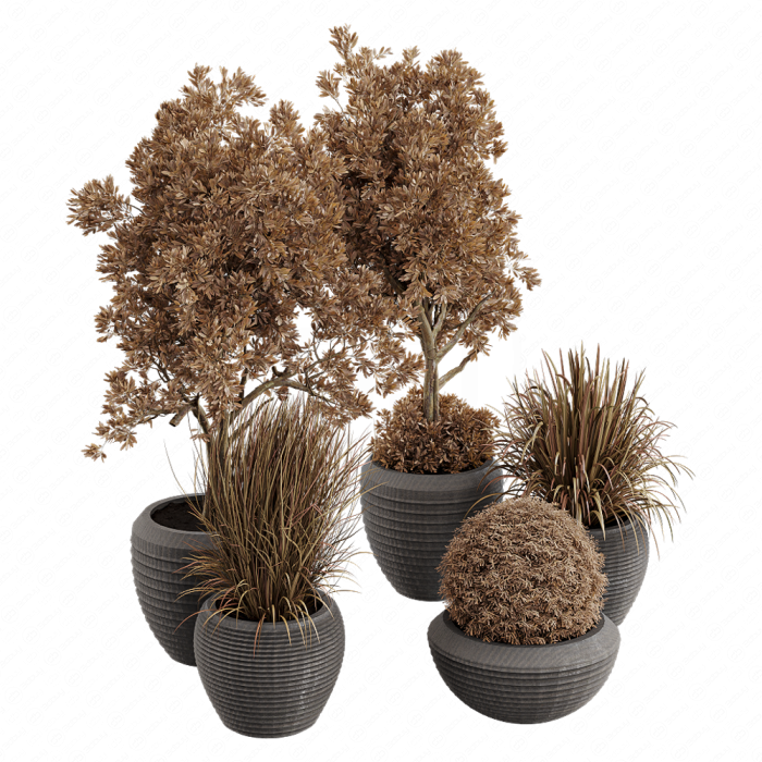 Dry Grass and Trees in a Concrete Pot - Indoor plant autumn set 570