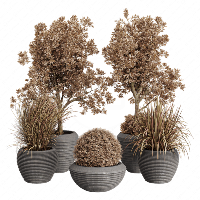 Dry Grass and Trees in a Concrete Pot - Indoor plant autumn set 570