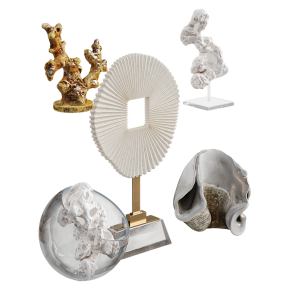 Sculptures made from reef corals