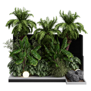 Shrubs and trees for landscaping