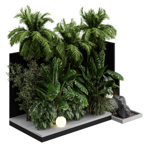 Shrubs and trees for landscaping