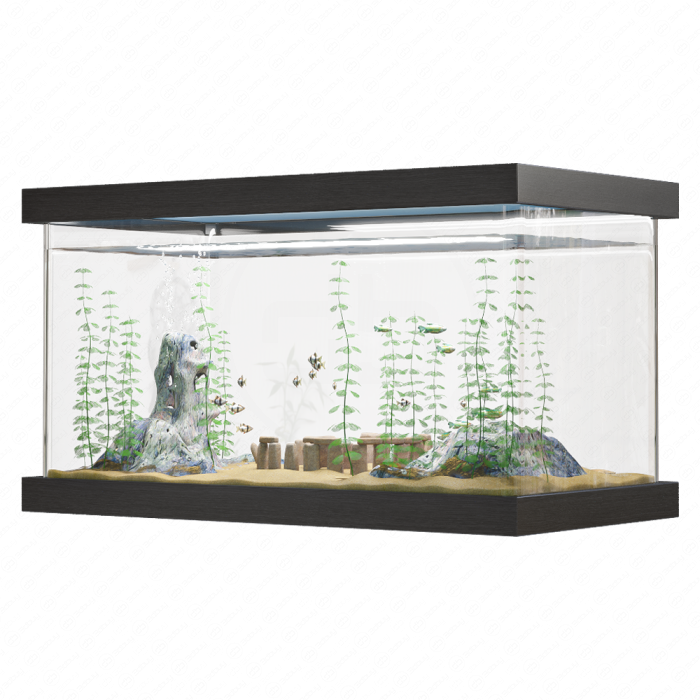 Аквариум с рыбками и водорослями