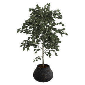 Houseplant No. 42