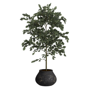 Houseplant No. 42