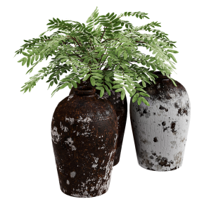 Декоративные сосуды RH Rice Wine Vessels с растениями