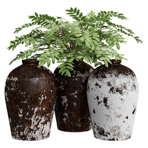 Декоративные сосуды RH Rice Wine Vessels с растениями