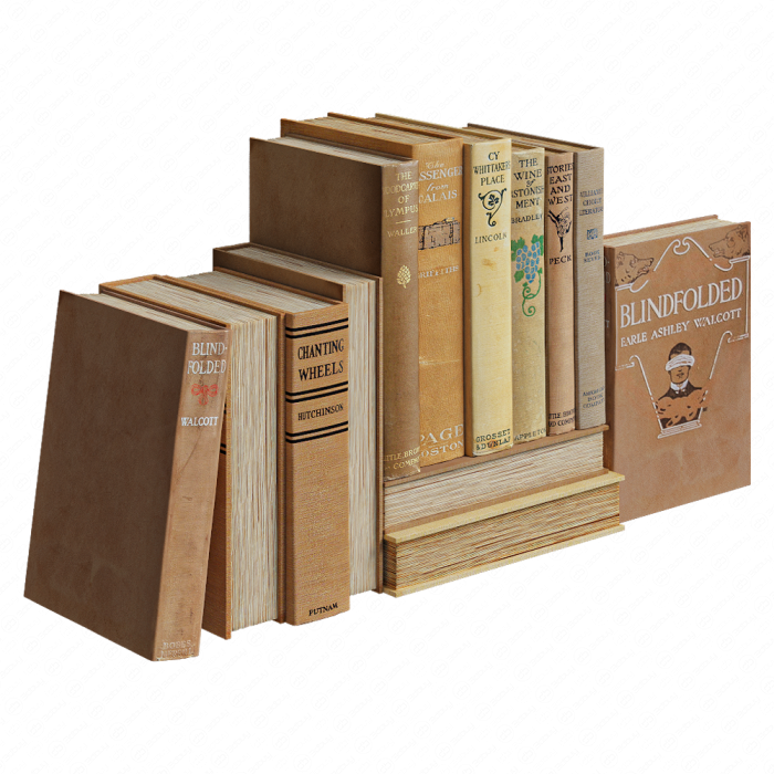 Набор винтажных книг