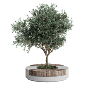 Урбан-фурнитура лавочка с деревом