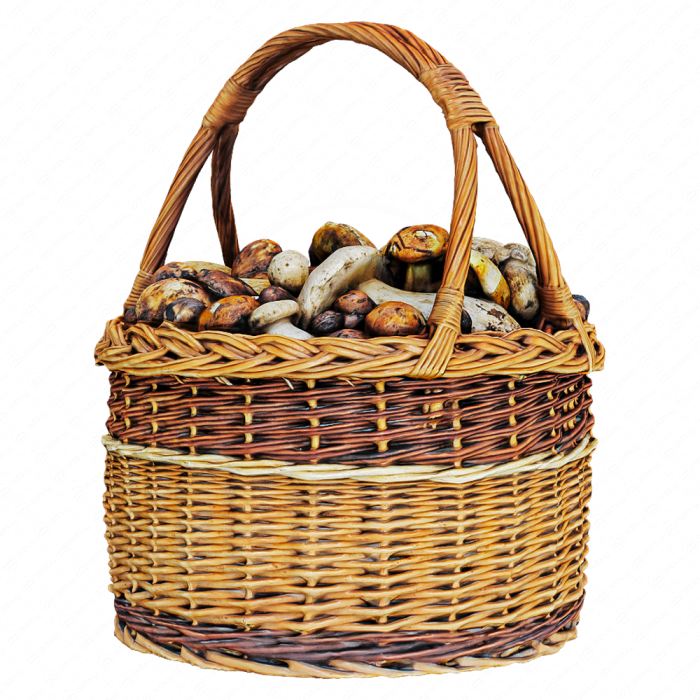 Грибы в корзине