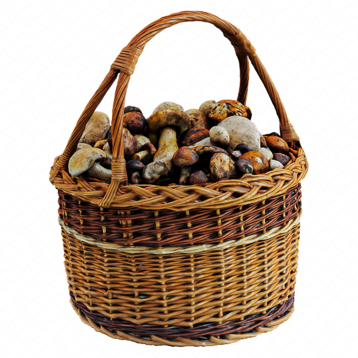 Грибы в корзине