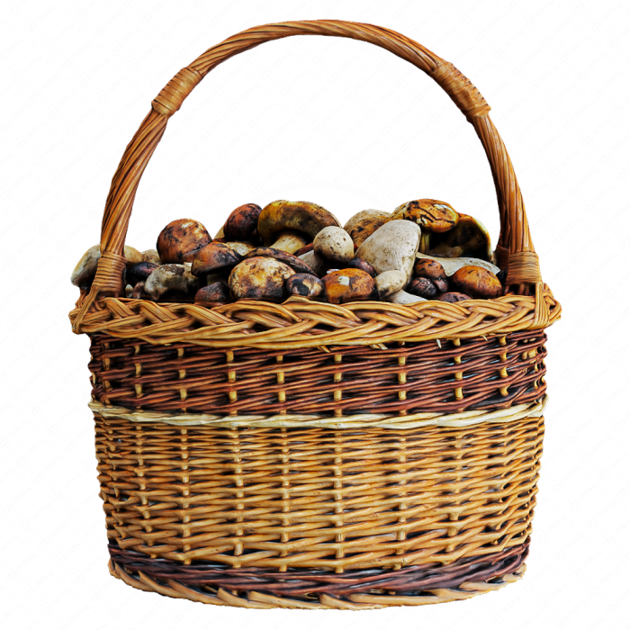 Грибы в корзине