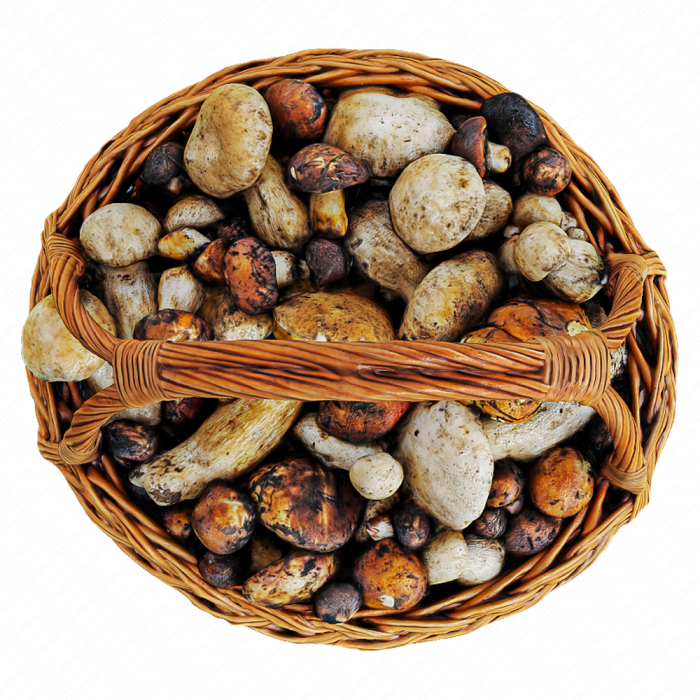 Грибы в корзине