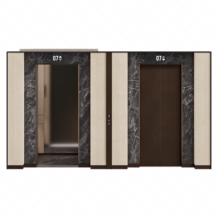 Холл с двумя лифтами №6 Холл с двумя лифтами №6