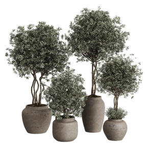 Houseplant No. 35
