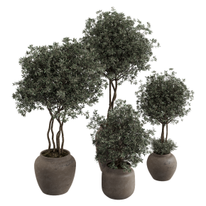 Houseplant No. 35