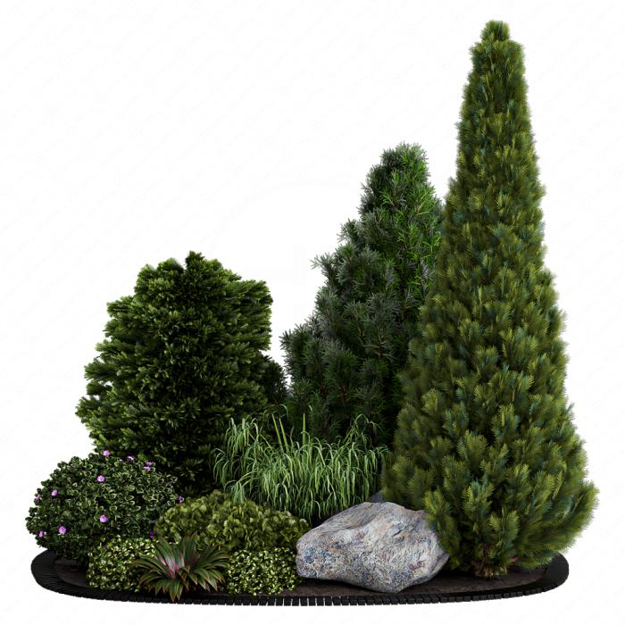 Alpine Hill 02