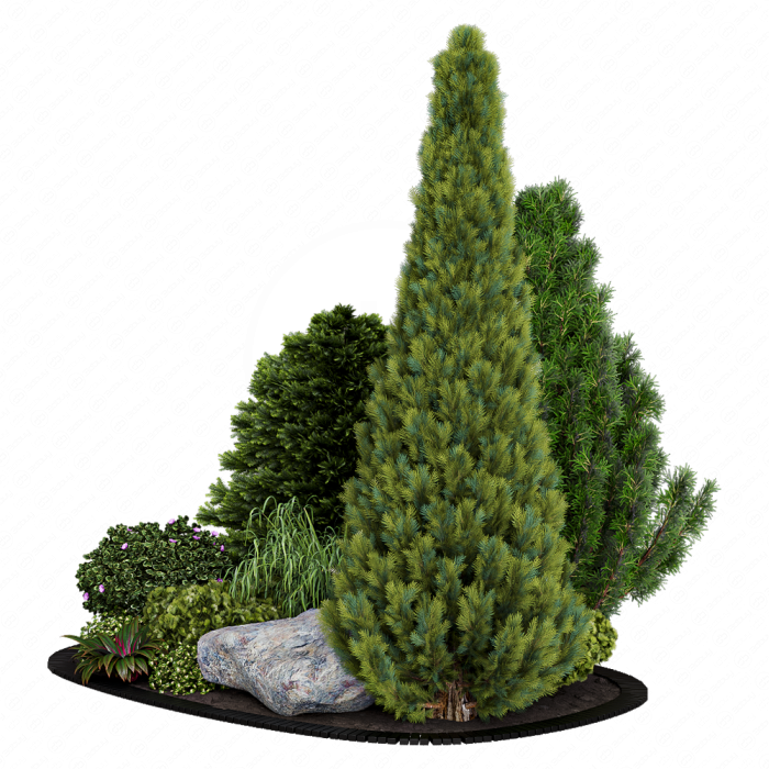 Alpine Hill 02