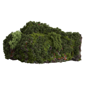 Rocky stones in moss.