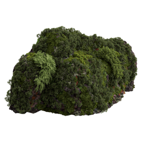 Rocky stones in moss.