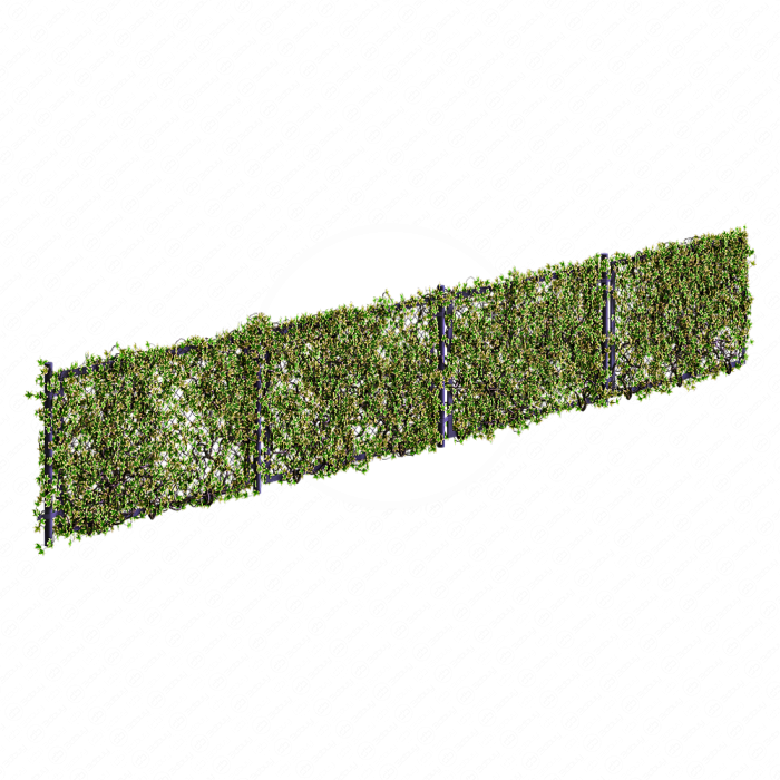 Забор с плющом