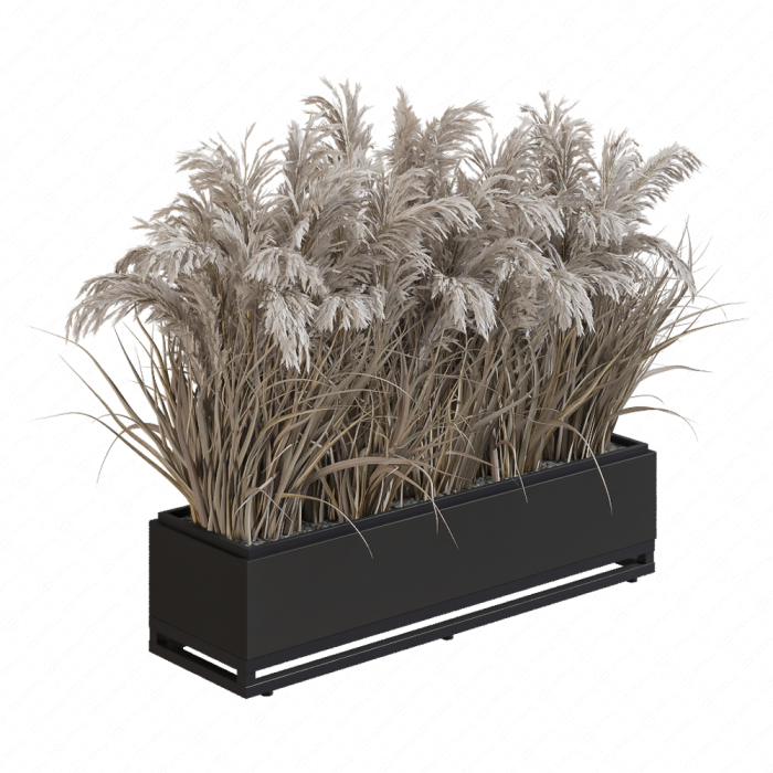 Сухоцветы в кашпо Сухоцветы в кашпо