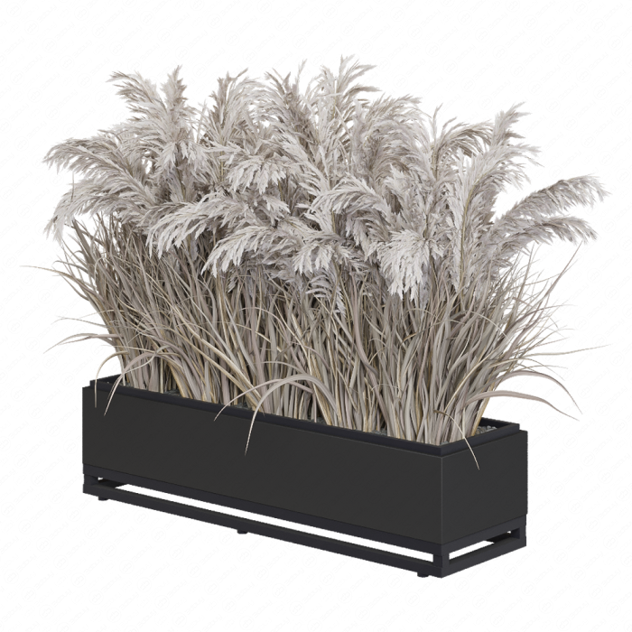 Сухоцветы в кашпо Сухоцветы в кашпо