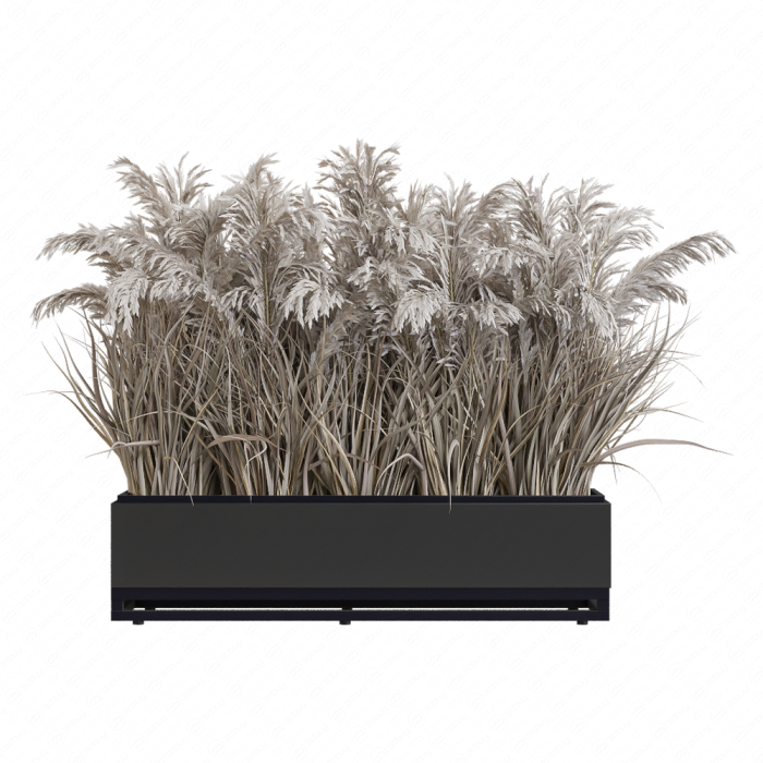 Сухоцветы в кашпо Сухоцветы в кашпо