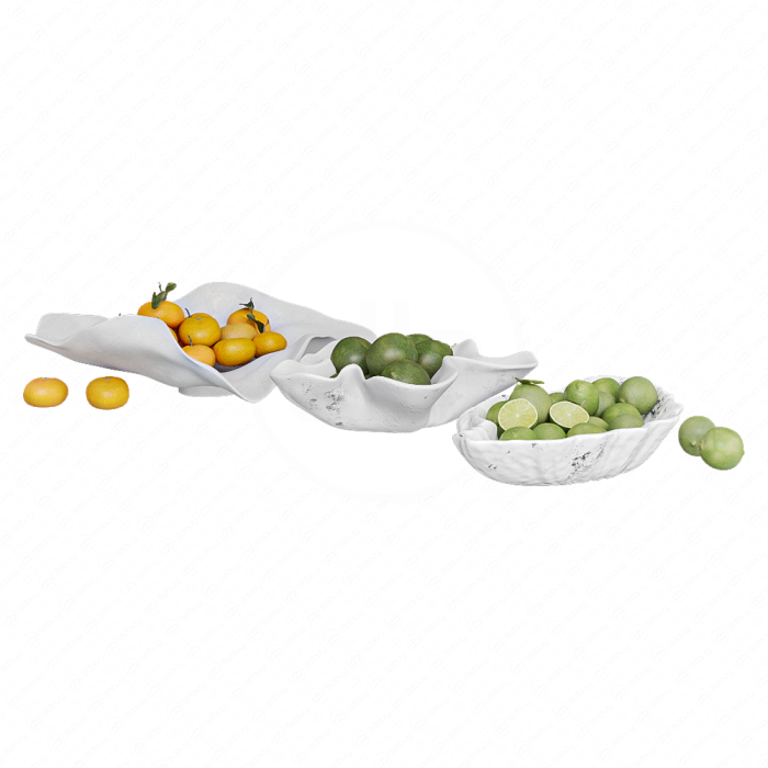 Декоративный набор для кухни с цитрусами