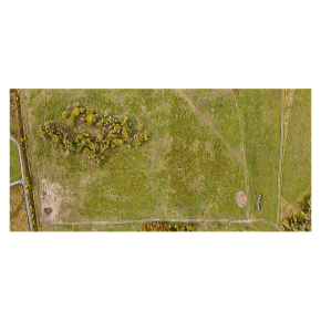 Texture of the field with a road