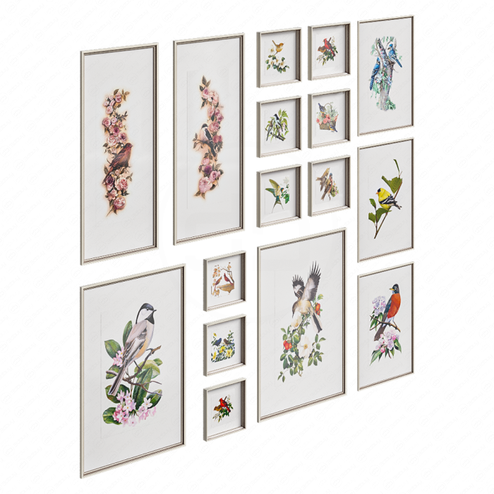 Коллекция картин Птицы и цветы