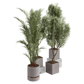 Houseplants No. 28