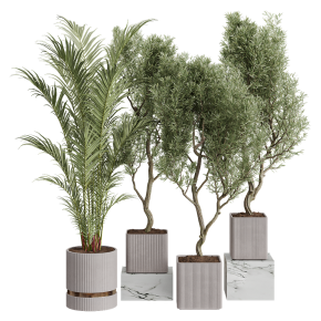 Houseplants No. 28