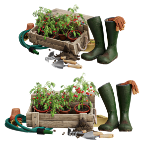Garden decor for growing tomatoes