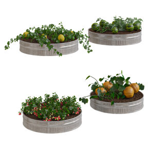 Огород  Kitchen garden