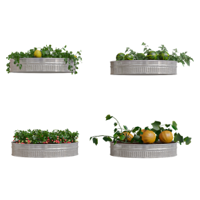 Огород  Kitchen garden
