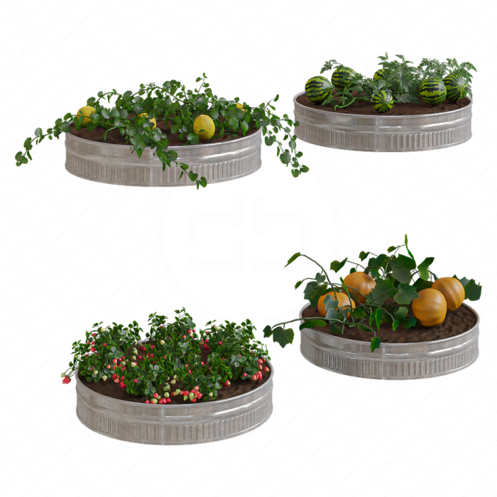 Огород  Kitchen garden