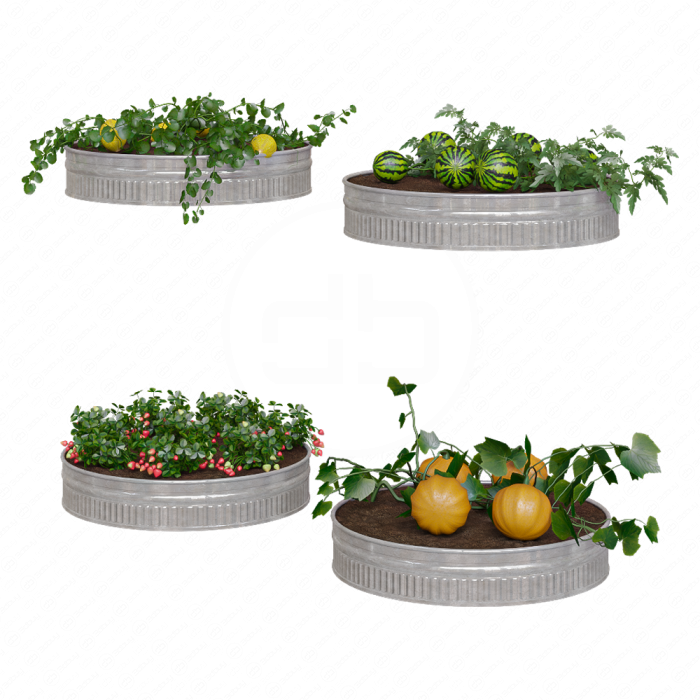 Огород  Kitchen garden