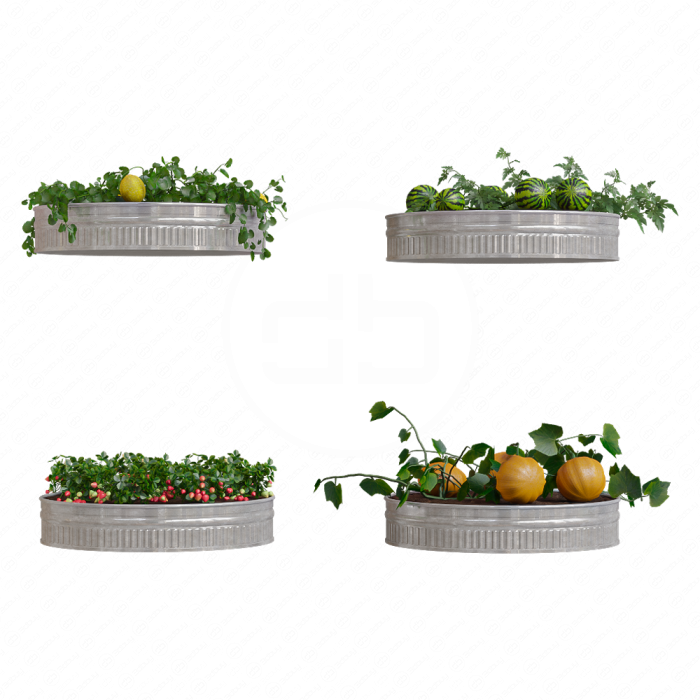 Огород  Kitchen garden