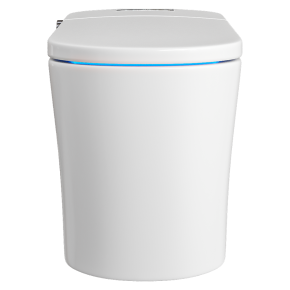 Унитаз Self Clean Smart