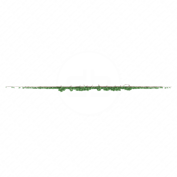 Поросль плюща