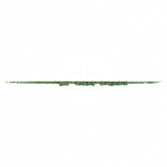 Поросль плюща