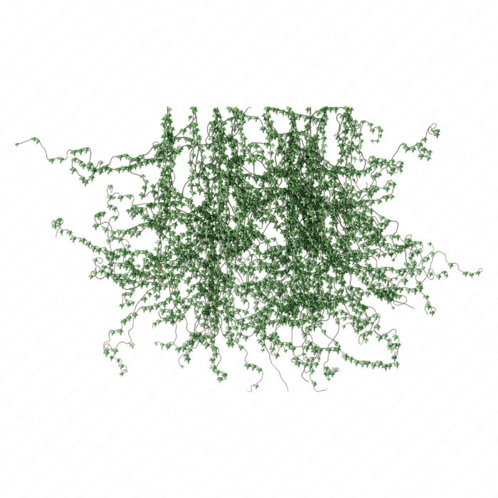 Поросль плюща