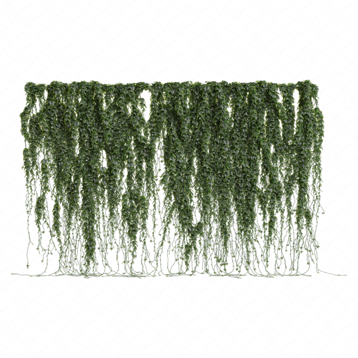 Плющ для забора v2