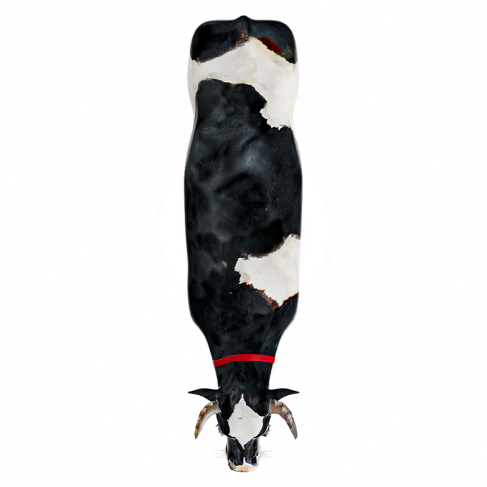Корова