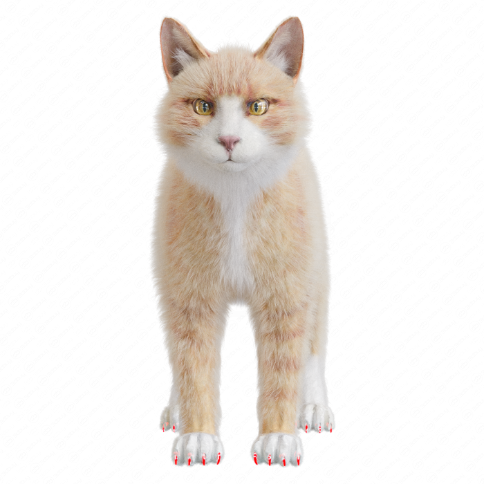 Пушистый кот