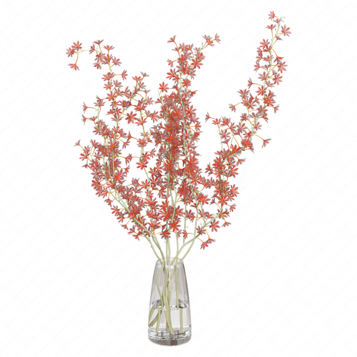 Красные и белые орхидеи
